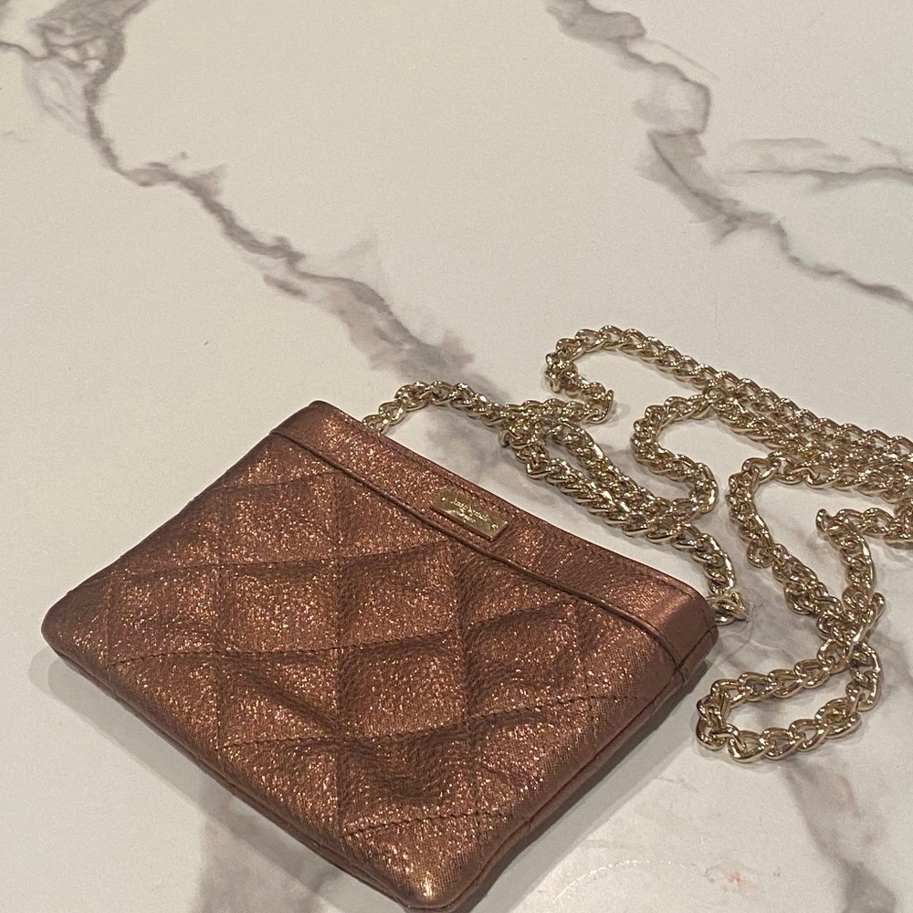 Kate Spade metallic wallet on chain